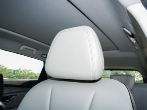 20231.6T DCT(qing) 7 g