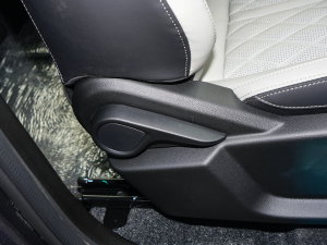 20231.6T DCT(qing) 7 g