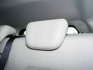 20231.6T DCT(qing) 7 g