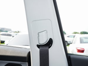 20231.6T DCT(qing) 7 g