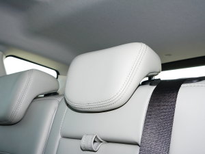 20231.6T DCT(qing) 7 g