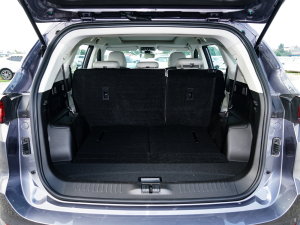 20231.6T DCT(qing) 7 g