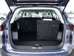 20231.6T DCT(qing) 7 g