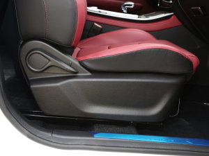 20231.5T DCTԏ(qing)PRO 7 g