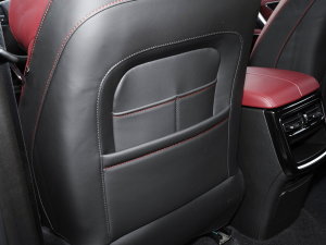 20231.5T DCTԏ(qing)PRO 7 g