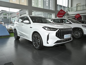 20231.6T DCTPRO+ 7 ǰ45