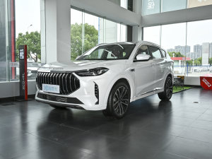 20231.6T DCTPRO+ 7 ǰ45