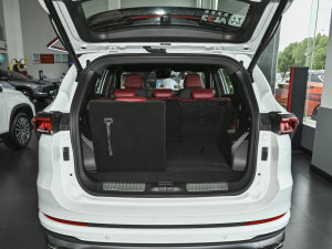 20231.6T DCTPRO+ 7 g