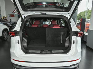 20231.6T DCTPRO+ 7 g