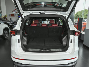 20231.6T DCTPRO+ 7 g