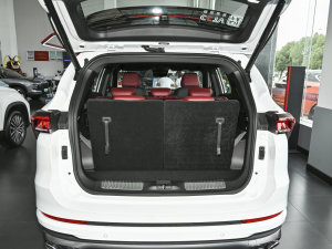 20231.6T DCTPRO+ 7 g