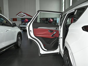 20231.6T DCTPRO+ 7 ܇T