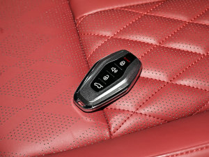 20231.6T DCTPRO+ 7 ܇耳