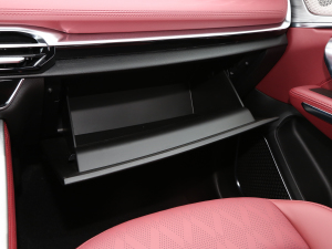 2023款1.6T DCT强者 5座 手套箱