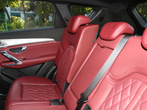 20231.6T DCTPRO+ 5 g