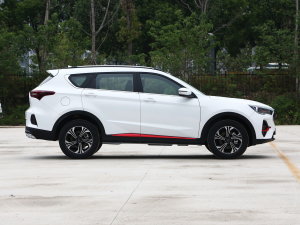 20231.5T DCTԽPRO 5 (c)ң