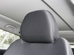 20231.5T DCTԽPRO 5 g