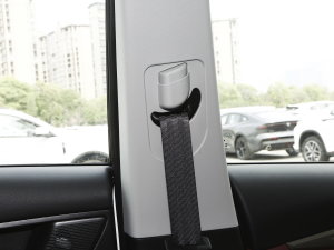 20231.5T DCTԽPRO 5 g