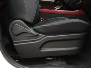 20231.5T DCTԽPRO 5 g