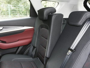 20231.5T DCTԽPRO 5 g