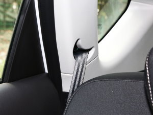 20231.5T DCTԽPRO 5 g