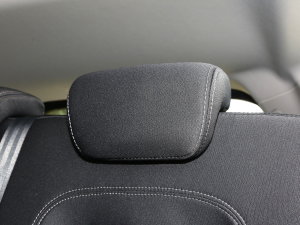 20231.5T DCTԽPRO 5 g