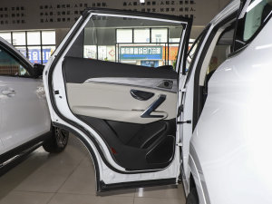 2023T 2.0T DCTP 7 ܇T