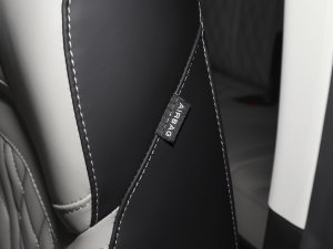 2023T 2.0T DCTP 7 п؅^(q)