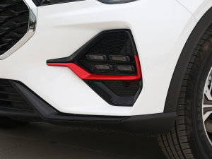 20231.5T DCTԽPRO 7 (ji)^