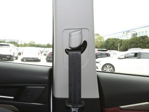 20231.5T DCTԽPRO 7 g