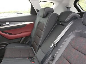 20231.5T DCTԽPRO 7 g