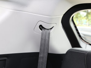 20231.5T DCTԽPRO 7 g