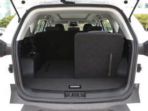 20231.5T DCTԽPRO 7 g