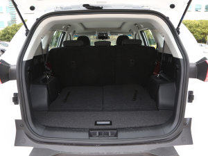 20231.5T DCTԽPRO 7 g