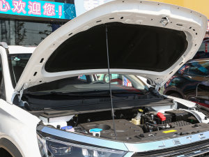 2023款1.5T 手动别院 其它