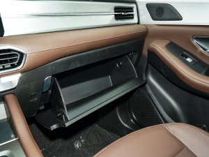 2023Ŀ 1.6TD DCTe 7 g