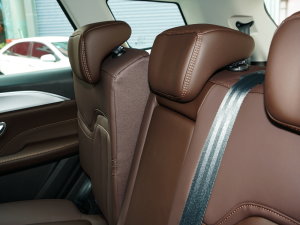 2023Ŀ 1.6TD DCTe 7 g