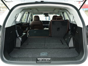 2023Ŀ 1.6TD DCTe 7 g