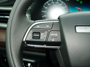 2023Ŀ 1.6TD DCTe 7 п؅^