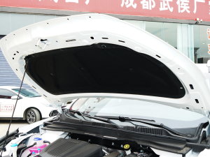 2023款改款 1.6TD DCT别墅 7座 其它
