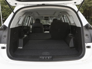 2023Ŀ 1.6TD DCTe 5 g