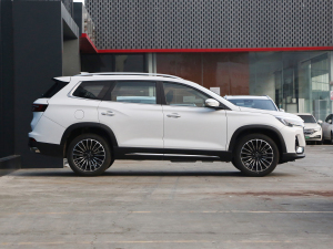 2023Ŀ 1.6TD DCTf@ 7 ȣң