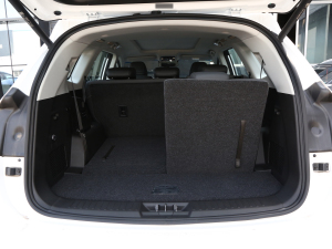 2023Ŀ 1.6TD DCTf@ 7 g