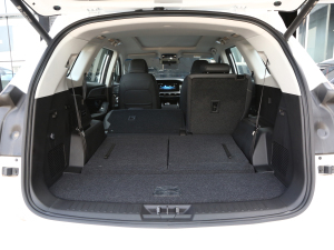 2023Ŀ 1.6TD DCTf@ 7 g