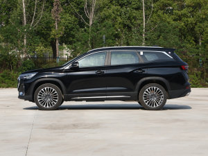 2023 2.0T DCTٰ 7 (c)