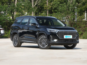 2023 2.0T DCTٰ 7 ǰ45