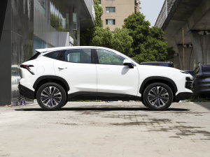 20231.6T DCTPRO (c)ң