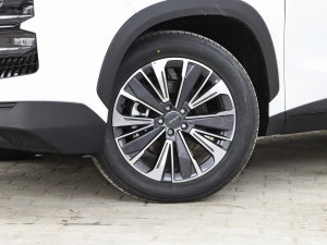 20231.6T DCTPRO ݆Ȧ