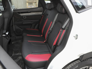 20231.6T DCTPRO {{(dio)(ji)