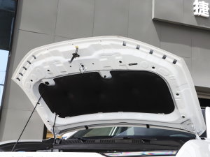 20231.6T DCTPRO l(f)(dng)C(j)œ